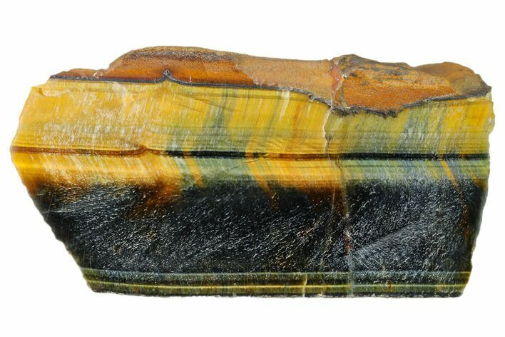 Polished Tiger's Eye Section - South Africa #148251